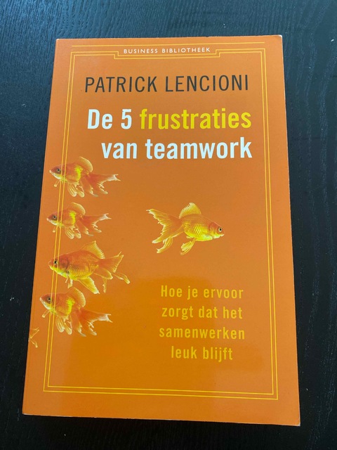 9789047001966-De-5-frustraties-van-teamwork