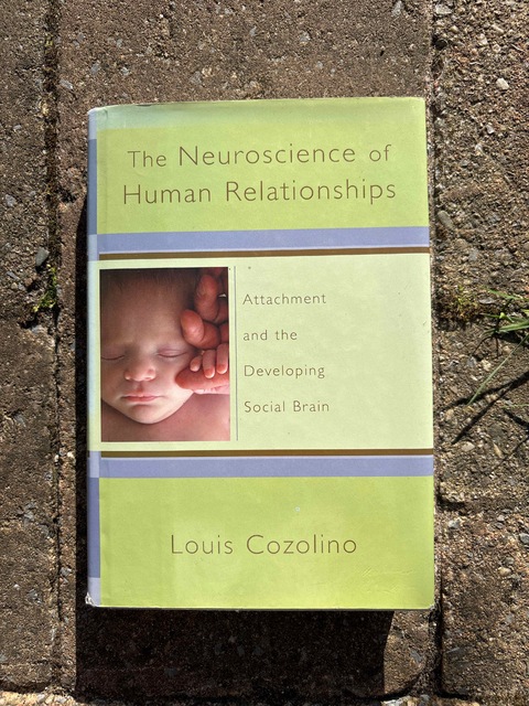 9780393704549-The-Neuroscience-of-Human-Relationships