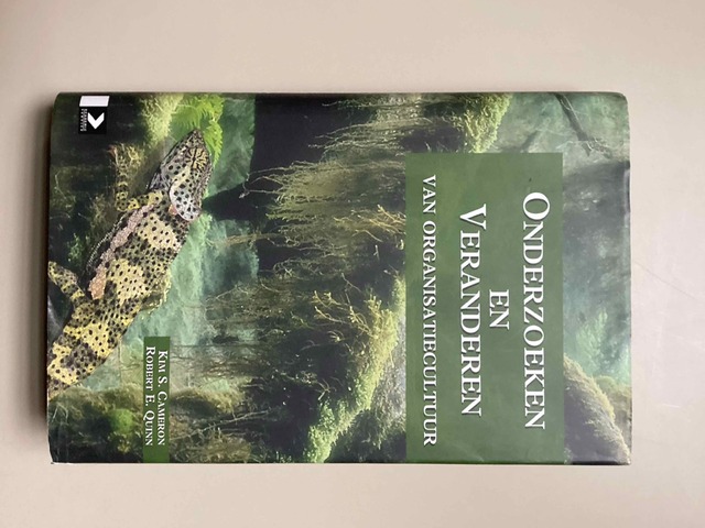 9789052612911-Onderzoeken-en-veranderen-van-organisatiecultuur