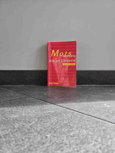 9789054514787-Mots-Actuels-Mis-En-Contexte--Nouvelle-%C3%AF%C2%BF%C2%BDdition