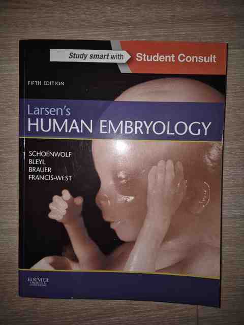 9781455706846-Larsens-Human-Embryology