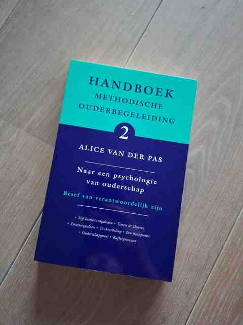 9789066657816-Handboek-Methodische-Ouderbegeleiding-2-naar-een-psychologie-van-ouderschap