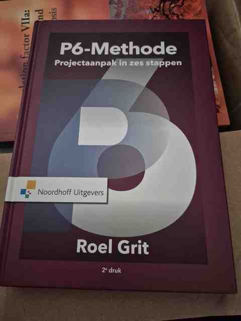 9789001868871-Projectaanpak-in-zes-stappen