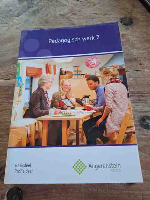 9789037229646-Pedagogisch-Werk-2-basisdeelprofieldeel