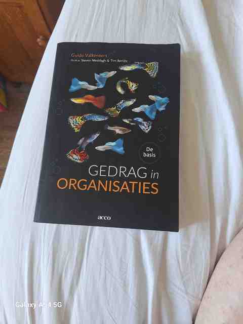 9789033485787-Gedrag-in-organisaties