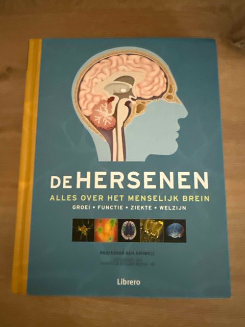 9789463593021-De-Hersenen