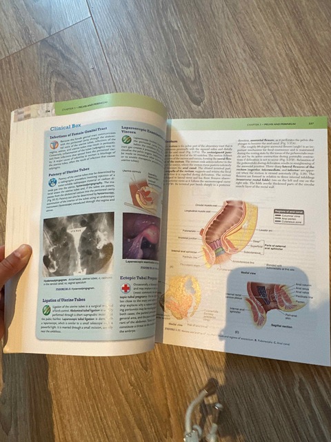 9781469832012-Essential-Clinical-Anatomy