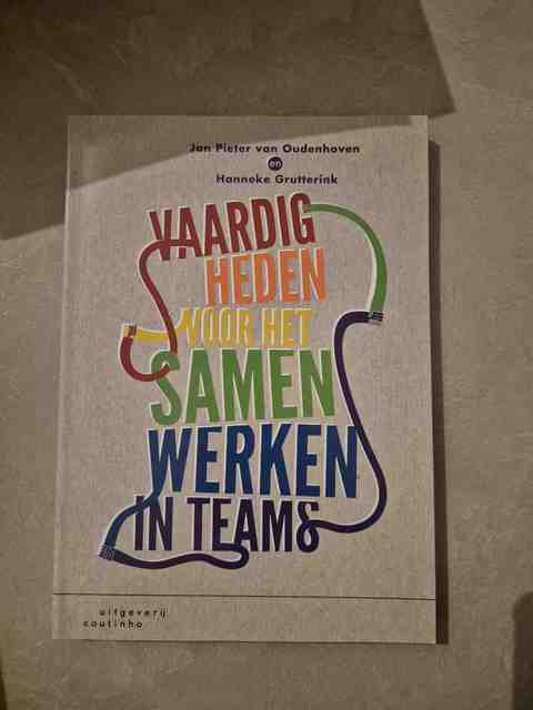 9789046903858-Vaardigheden-voor-het-samenwerken-in-teams