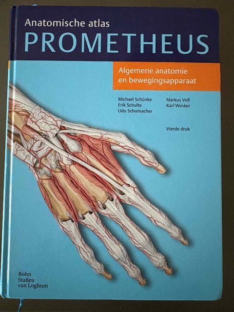 9789036815383-Algemene-anatomie-en-bewegingsapparaat