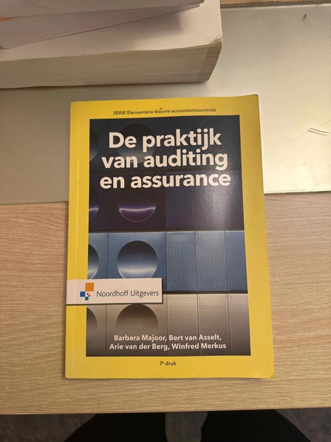 9789001867126-De-praktijk-van-auditing-en-assurance
