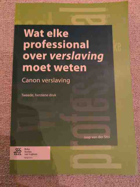 9789031388363-Wat-elke-professional-over-verslaving-moet-weten
