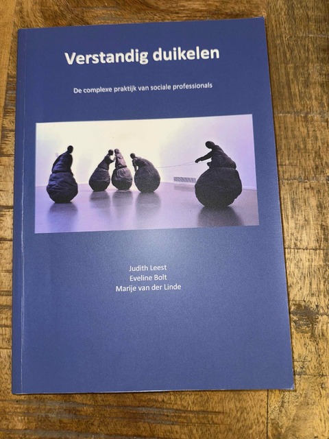 9789082033113-Verstandig-duikelen