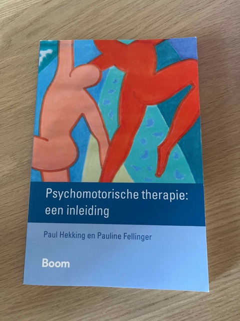 9789461055668-Psychomotorische-therapie-een-inleiding
