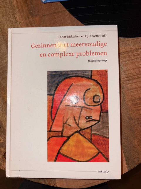 9789047711681-Gezinnen-met-meervoudige-en-complexe-problemen