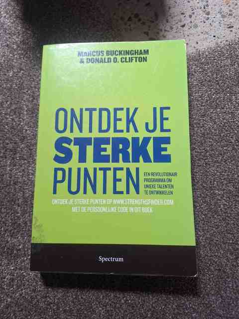 9789027426154-Ontdek-je-sterke-punten