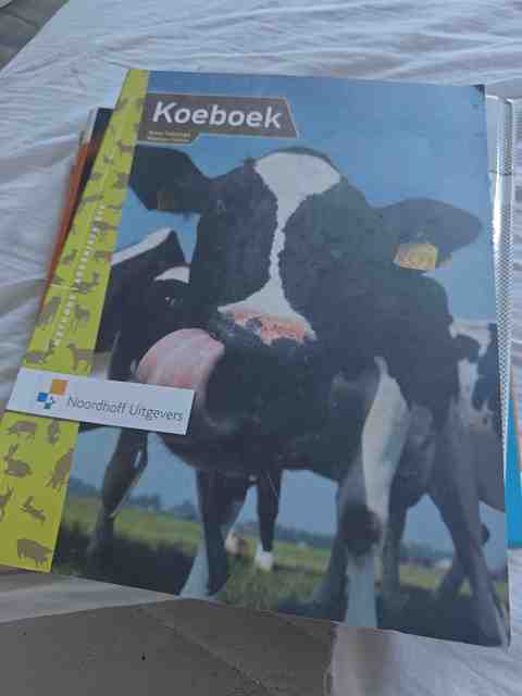 9789011053762-Koeboek