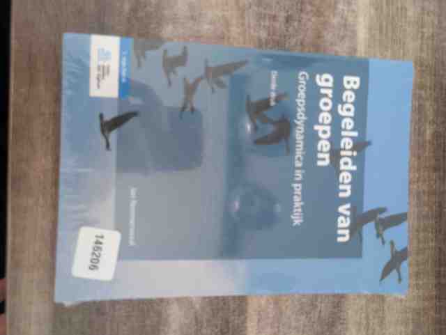 9789036807241-Begeleiden-van-groepen