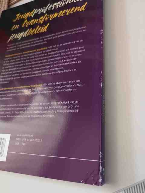 9789046905708-Jeugdprofessionals-en-transformerend-jeugdbeleid