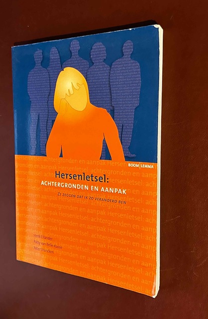 9789059314320-Hersenletsel-achtergronden-en-aanpak