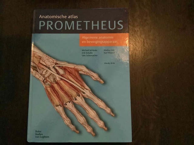 9789036815383-Algemene-anatomie-en-bewegingsapparaat