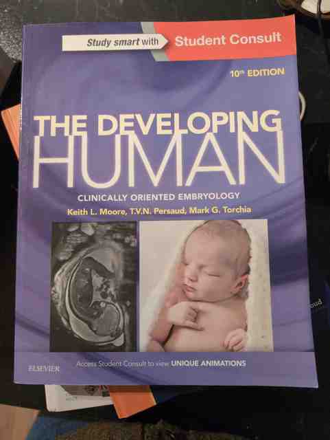 9780323313384-The-Developing-Human