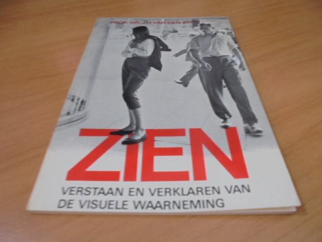 9789026600234-Zien-begrypen-en-verkl.visuele-waarneming