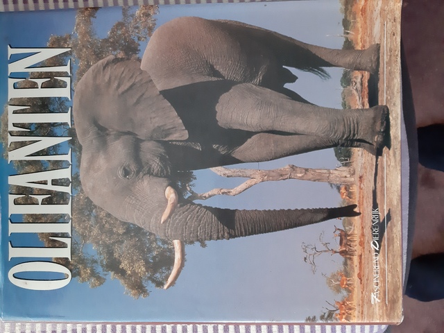 9789051122756-Olifanten