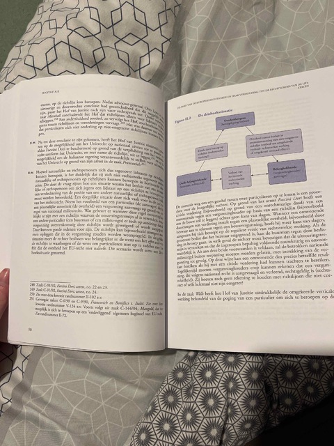 9789462907508-Recht-van-de-Europese-Unie