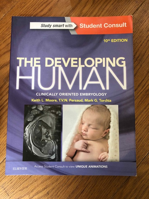 9780323313384-The-Developing-Human