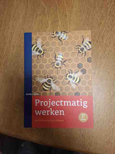 9789462364028-Projectmatig-werken