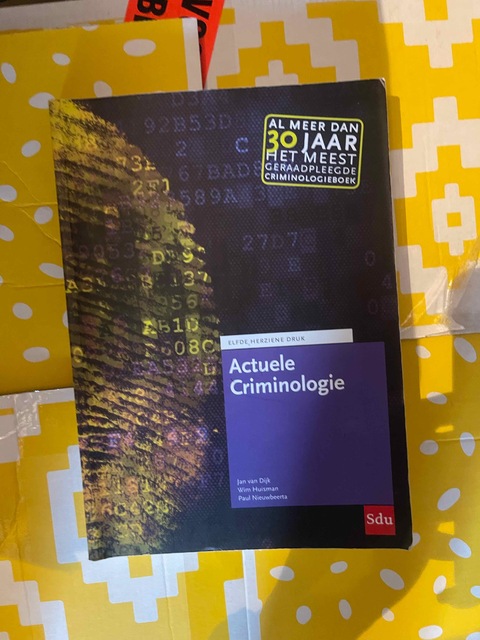 9789012405379-Actuele-Criminologie
