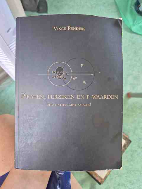 9789086663897-Piraten-perziken-en-p-waarden