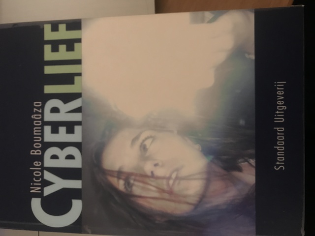 9789076900230-Cyberlief