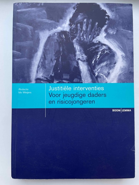 9789089740229-Justitiele-interventies