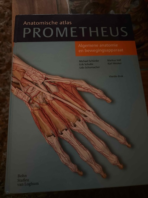 9789036815383-Algemene-anatomie-en-bewegingsapparaat