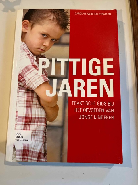 9789031348909-Pittige-jaren