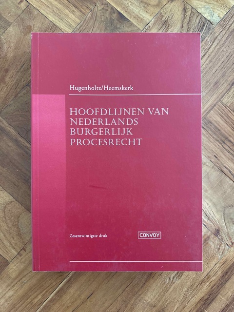 9789463173001-Hoofdlijnen-van-Nederlands-Burgerlijk-Procesrecht