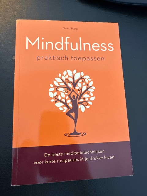 9789043826693-Mindfulness-praktisch-toepassen