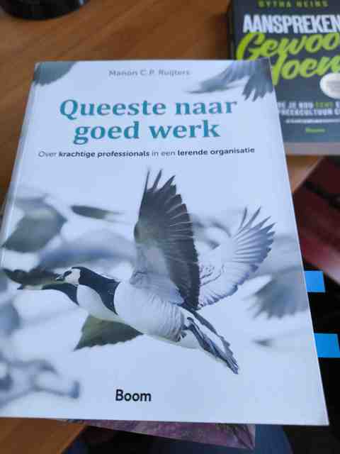 9789024469871-Queeste-naar-goed-werk