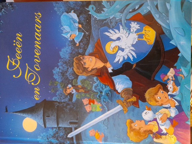 9789041205841-Feeen-en-tovenaars