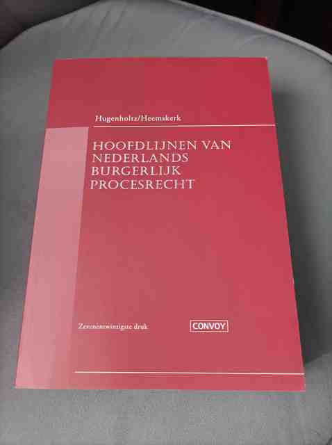 9789463174145-Hoofdlijnen-van-Nederlands-burgerlijk-procesrecht