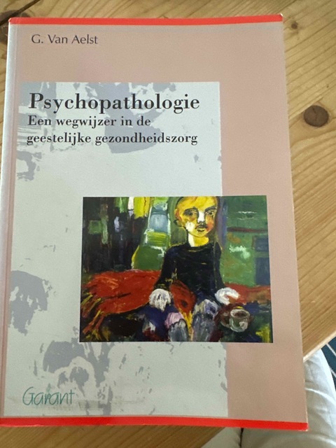 9789053506509-Psychopathologie-druk-1