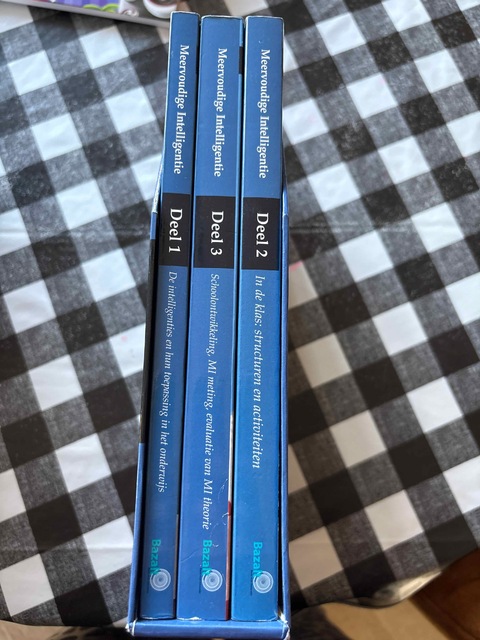 9789074233057-Meervoudige-intelligentie-Deel-1-2-en-3