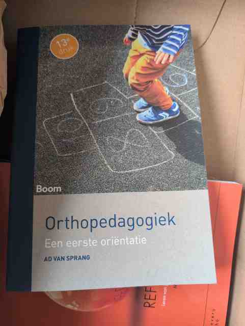 9789024411993-Orthopedagogiek