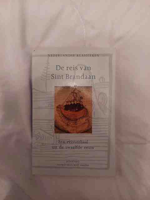 9789035113855-De-reis-van-Sint-Brandaan