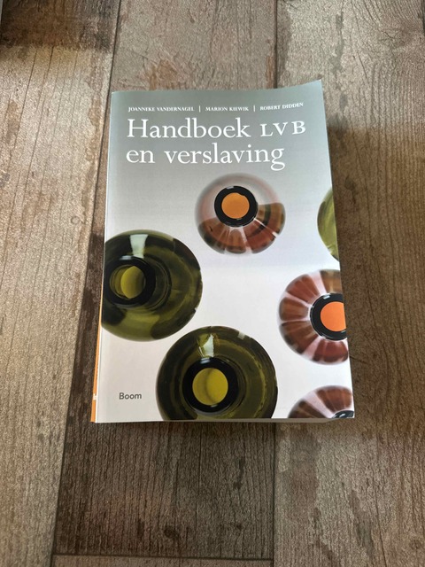 9789024404940-Handboek-LVB-en-verslaving