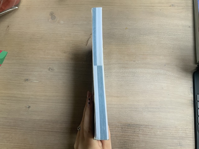 9789046906095-Publiek-management