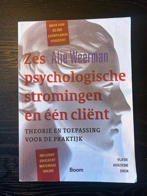 9789024402465-Zes-psychologische-stromingen-en-een-client