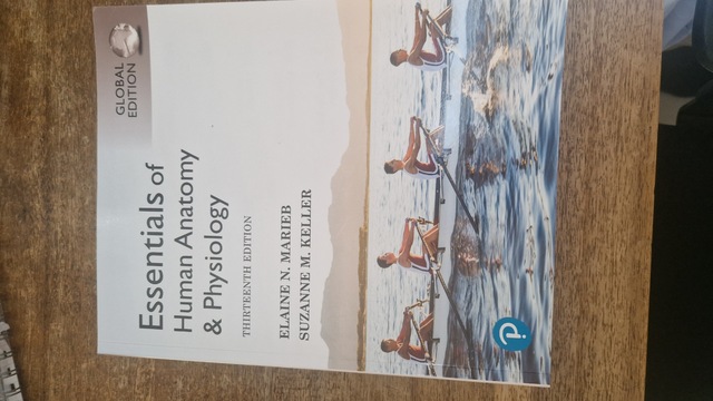 9781292401942-Essentials-of-Human-Anatomy-Physiology-Global-Edition
