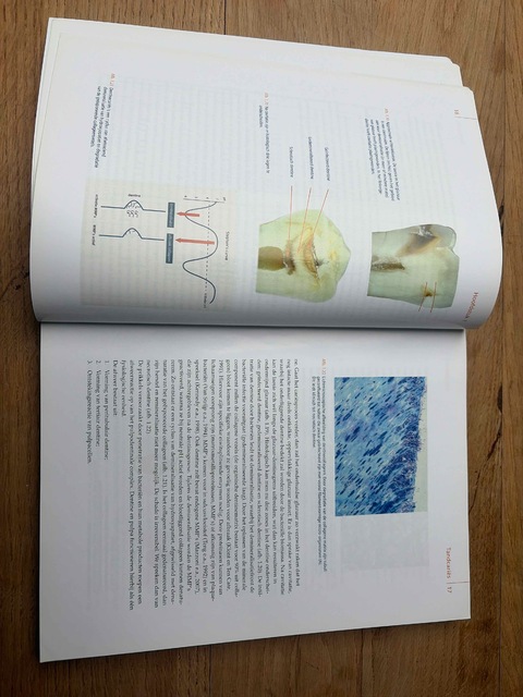 9789085621355-Carieslaesies-studenteneditie